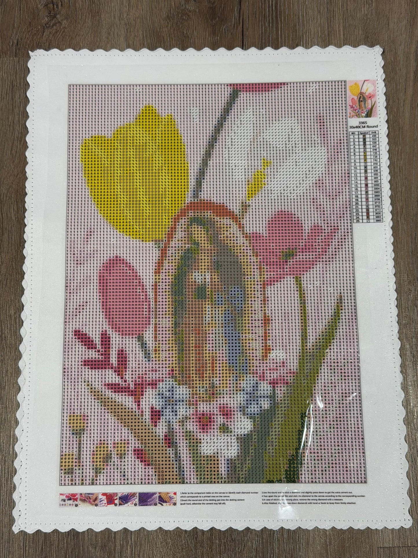 Virgen Mary Diamond Painting Art Kit